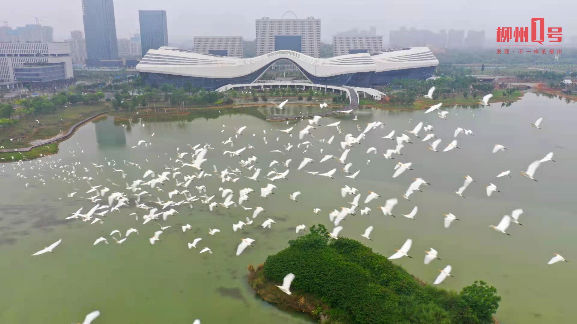 微信图片_20210727154244.jpg